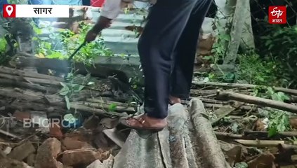 7 फीट अजगर की दहशत से हड़कंप, बत्ती गुल होते मचा हड़कंप, इलाका कहलाता है अजगर लोक