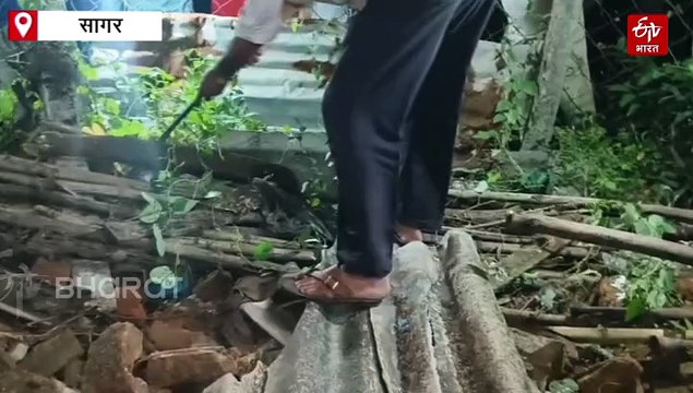 7 फीट अजगर की दहशत से हड़कंप, बत्ती गुल होते मचा हड़कंप, इलाका कहलाता है अजगर लोक