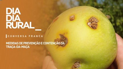 Medidas de prevenção e contenção da traça-da-maça