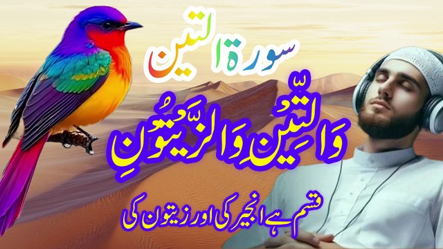 ✨ Surah At-Tin (The Fig) Beautiful Quran Recitation | سورۃ التین کی دلکش تلاوت ✨