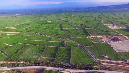 Kentsel Dönüşüm Başkanlığı'ndan arsa satışı: 29 ilde 449 taşınmaz satışa sunulacak