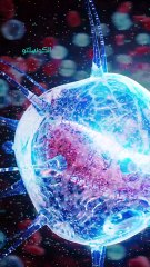 أمراض المناعة: فهمها وعلاجها بشكل مبسط 🩺