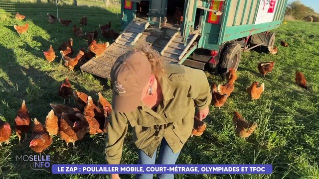 Le Zap : un poulailler mobile vous apporte les oeufs, chez vous !