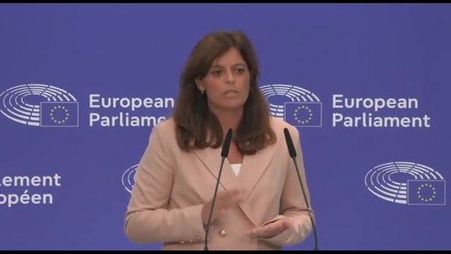 Ilaria Salis al giornalista ungherese: stufa di ricevere diffamazioni