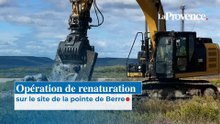 Opération de renaturation sur le site de la pointe de Berre