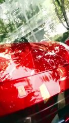 Oops I’M Not A Murphy