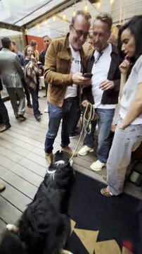 Vidéos - Jean Dujardin et Philippe Caverivière au vernissage de l'exposition La boxe fait son cinéma du photographe Frédéric Andrieu à l'hôtel Brach Paris, France, le 23 septembre 2025 © Denis Guignebourg / Bestimage