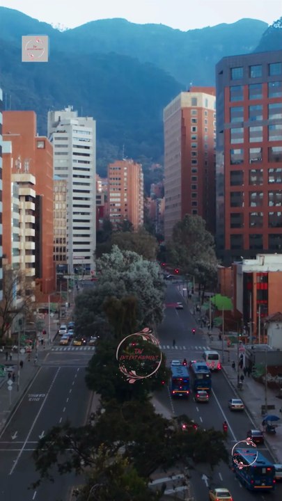 Sí a primera vista Completo en Español