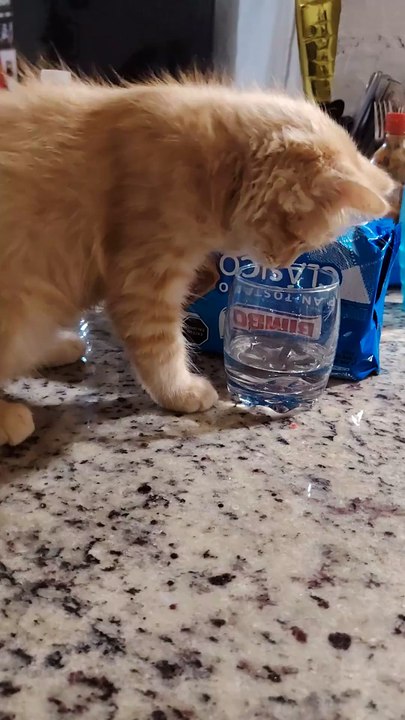 Il voulait juste un p’tit splash d’eau, pas la...