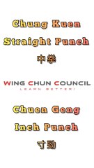 Wing Chun chain punches chung kuen