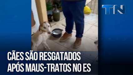 Cães são resgatados após maus-tratos no ES