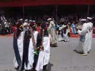 Festival des roses 2008