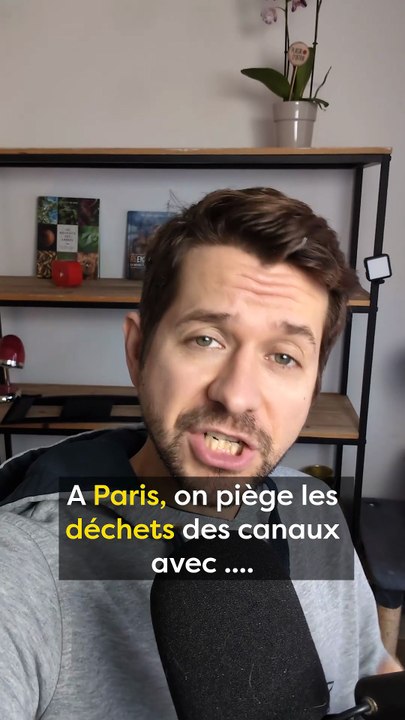 Les bulles sauvent Paris ?