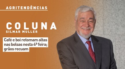 Café e boi retomam altas nas bolsas nesta 4ª feira; grãos recuam