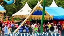 Mattojang, Tradisi Unik Petani Bugis Pasca Panen Raya