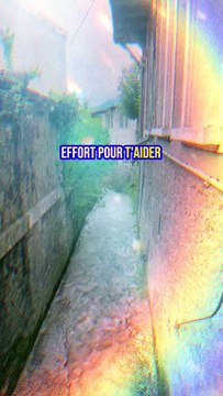 Une fille qui fait semblant de t'aimer aura ses 3 comportements #BR3 #motivation #inspiration #citation #sagesse