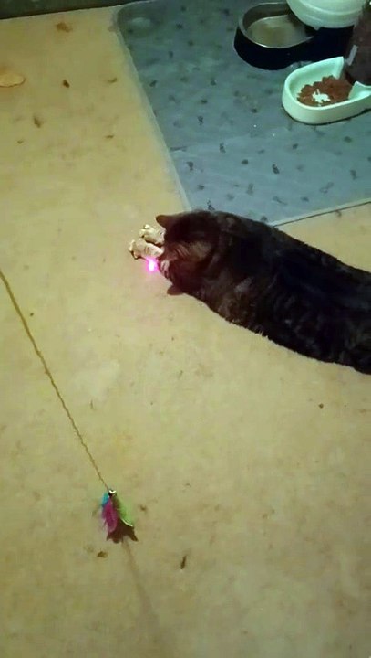 Laser Focus