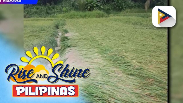 Higit P800K na pinsala sa agrikultura dulot ng mga bagyo, naitala sa Western Visayas ayon sa OCD