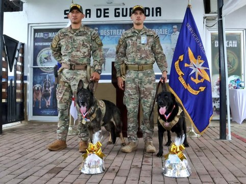 Jubilan con honores a los caninos 'Karina' y 'Black' tras años de lucha antinarcóticos
