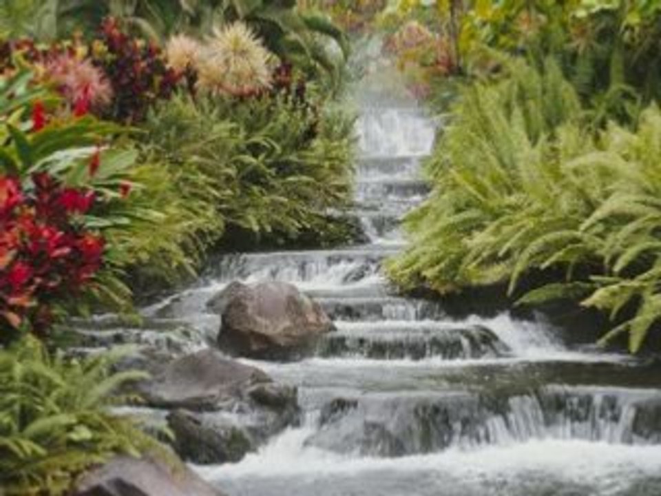 Cheb hasni rai love algerien