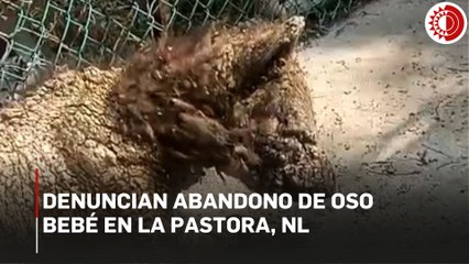 Exhiben a osezna en graves condiciones de abandono en zoológico de NL