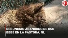 Exhiben a osezna en graves condiciones de abandono en zoológico de NL
