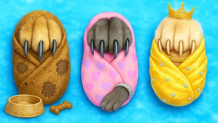 J’ai construit une chambre secrète pour animaux derrière le dos de mon père ! 😻