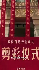 THE REBORN SISTER SWAP.