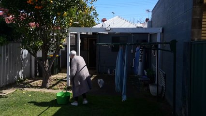 Lack of household renewables can impact the rollout of new technology