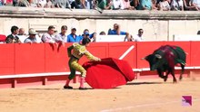 NIMES Sábado 20 de septiembre – Novillada con picadores matinal: Javier Zulueta, Martín Morilla y Víctor (Gallon)