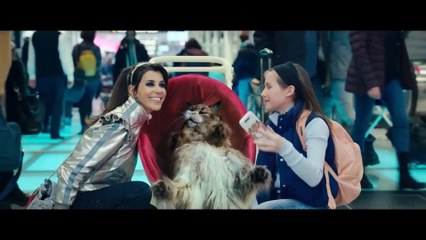 Miau & Wau - Trailer (Deutsch) HD