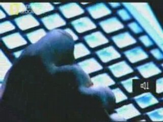 Les Hackers (National Geographic)