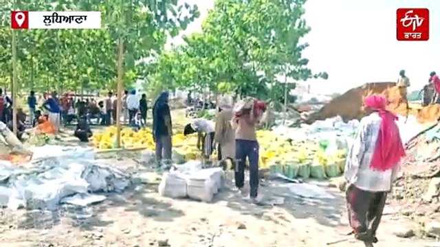 ਇਨ੍ਹਾਂ ਹੜ੍ਹ ਪ੍ਰਭਾਵਿਤ ਪਿੰਡਾਂ 'ਚ ਪਹੁੰਚੀ ਫੌਜ, 22 ਪਿੰਡਾਂ ਦੀਆਂ ਪੰਚਾਇਤਾਂ ਪੰਜਾਬ ਦੇ ਰਾਜਪਾਲ ਨੂੰ ਲਿਖਿਆ ਸੀ ਪੱਤਰ