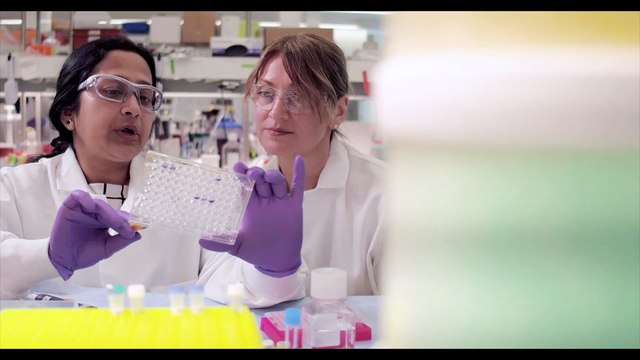 Un estudio español analiza el impacto en la vida real del tratamiento de la esclerosis múltiple