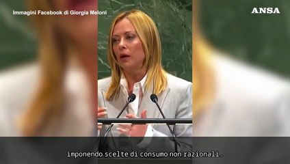 Meloni contro i "green deal" occidentali: "Ecologismo insostenibile"