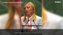 Meloni contro i "green deal" occidentali: "Ecologismo insostenibile"
