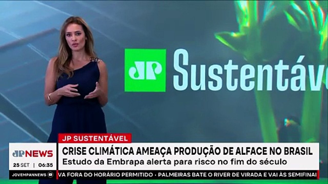 Crise climática ameaça cultivo de alface no Brasil; Patrícia Costa comenta