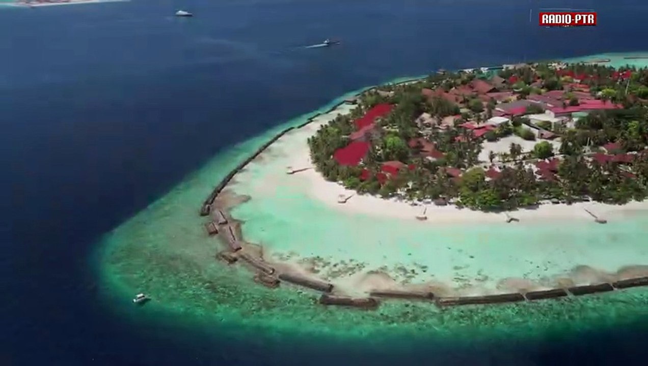 Conny Winter & Marcus - Alice Weidel auf Fahrt