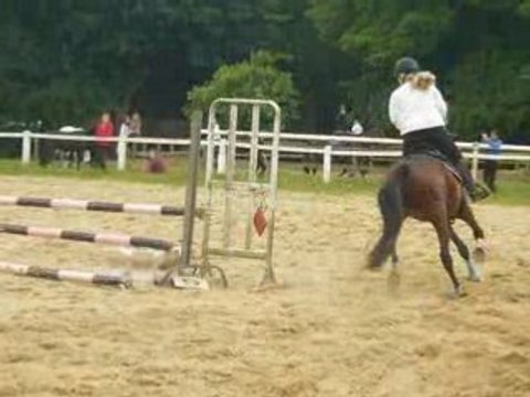 Concours du 18 mai 2008 fauvettes laulau et new