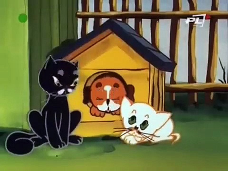 Przygody Kota filemona 26