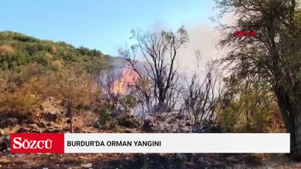 Burdur'da orman yangını