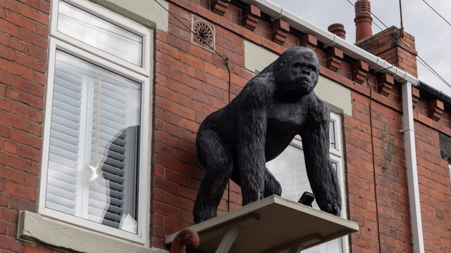Wakefield homeowner fights council over gorilla statue