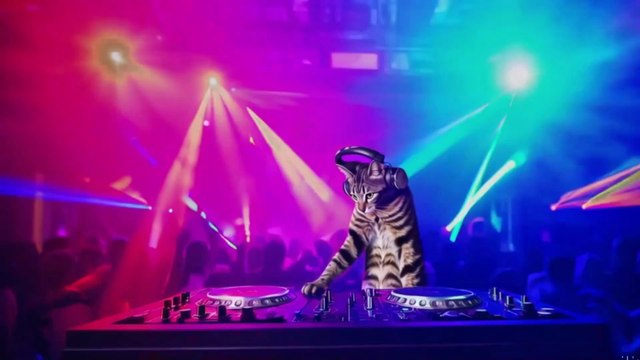 Mix 1H 🎧 Cat DJ – Electro Dance Music for Gaming 🎮 | Fun DJ Cat Meow Party