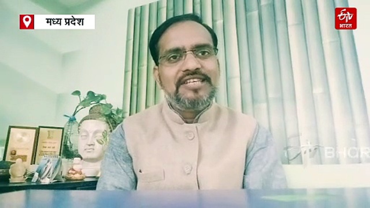 अनूपपुर के जंगलों में छिपा खजाना, किडनी स्टोन सहित कई बीमारियों के लिए लाभकारी पत्थरचट्टा