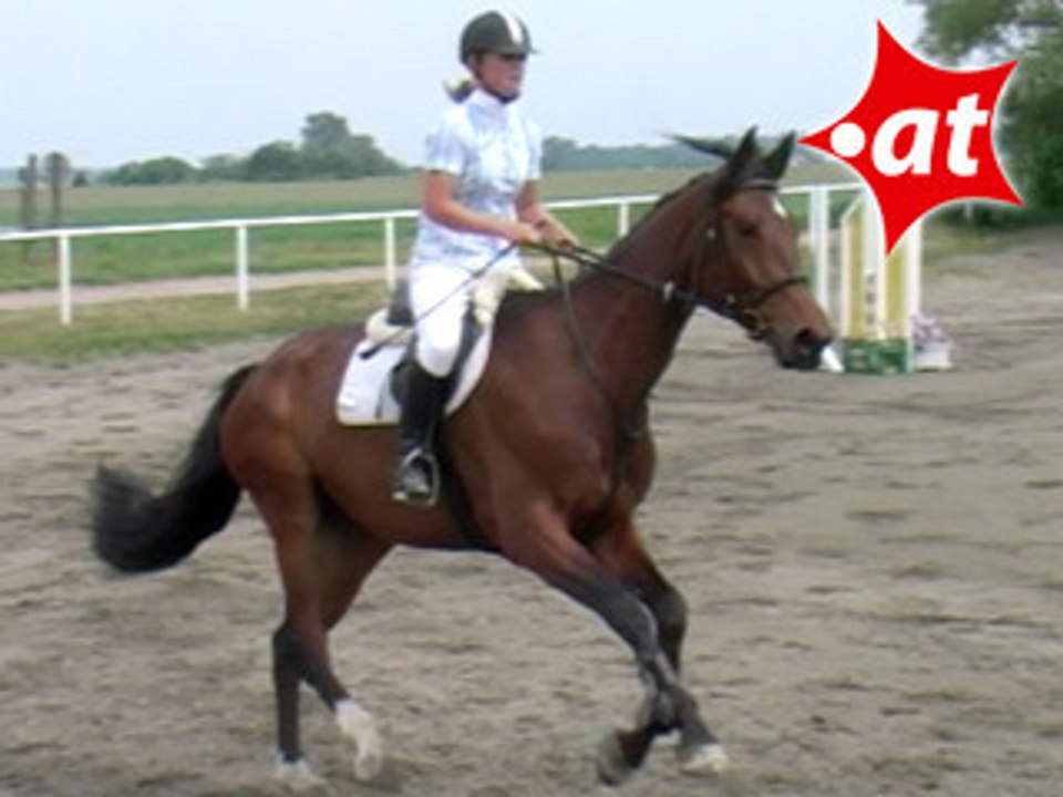 Esther Gmall, Springreiten, Kottingbrunn (2008-005)