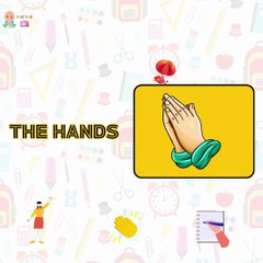 😊 Kids Learn Human Body Parts! 🌈 Fun English Vocabulary for Toddlers & Kindergarten