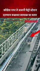 काँग्रेस नगर ते अजनी मेट्रो स्टेशन दरम्यान रूळावर सायाळ चा थरार