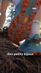 "On a des joyaux dans l'arrière-pays" : On a testé pour vous une petite partie de la course de trail du 100k et c'est...