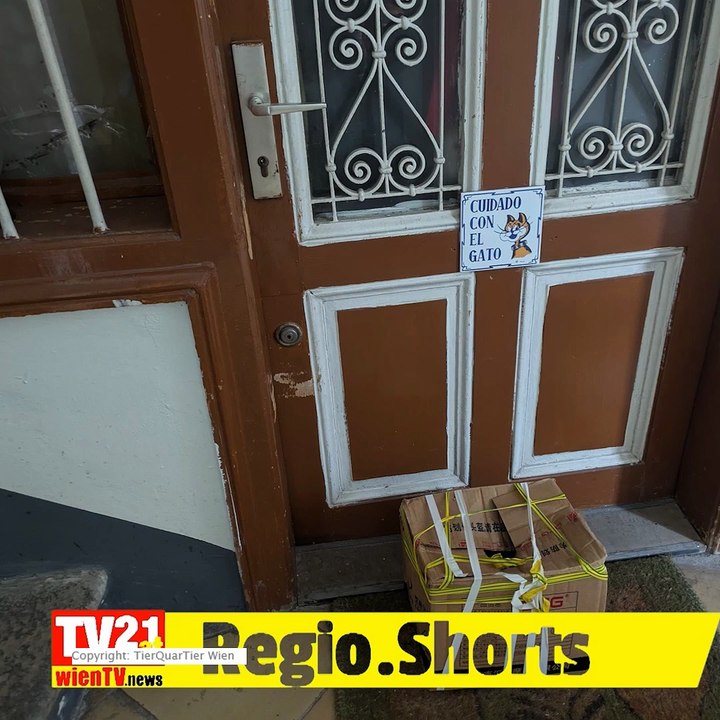 Traurige Bilanz nach den Sommermonaten