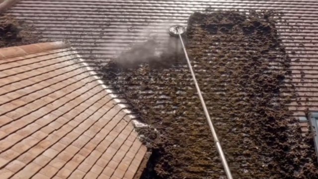 Low pressure cleaning reveals shiny roof as thick moss layer is removed